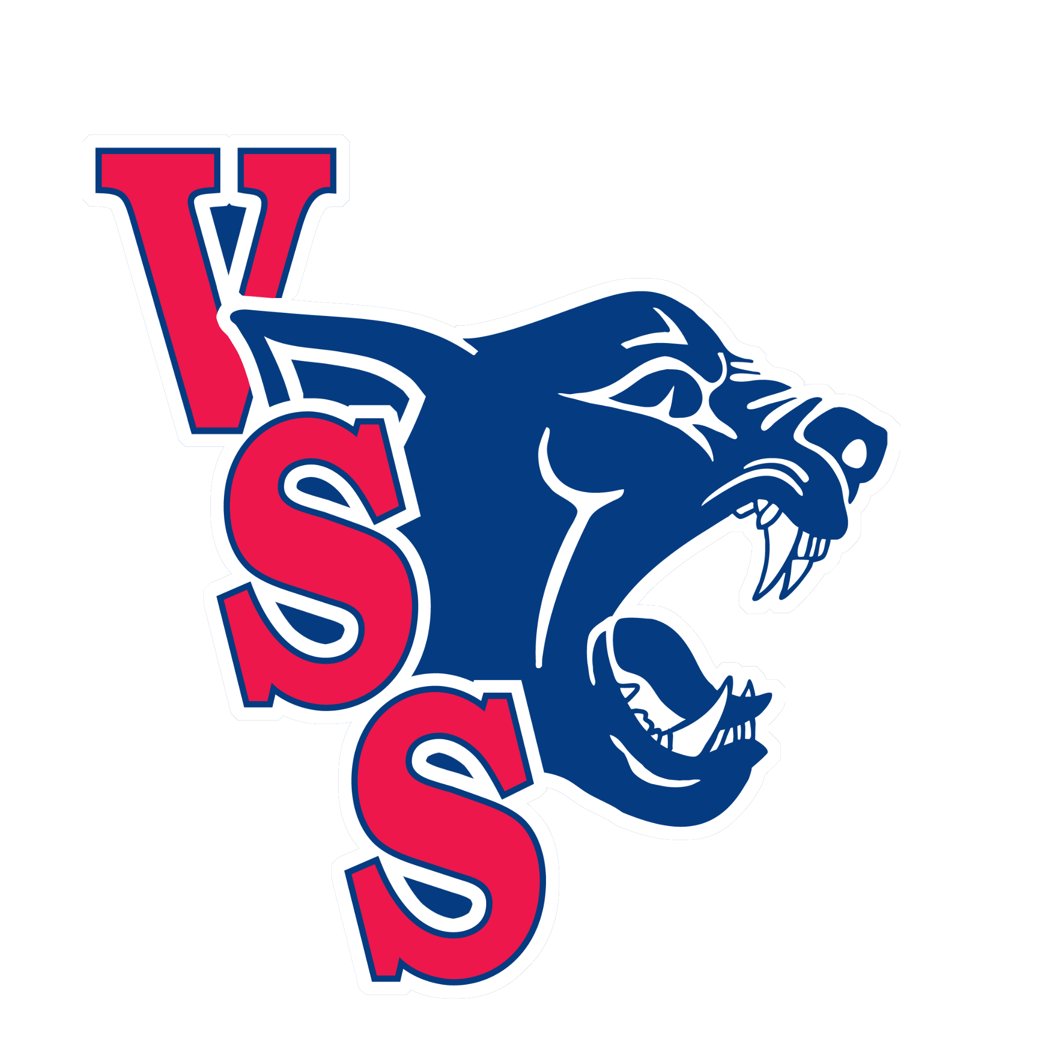 Vernon Secondary Logo